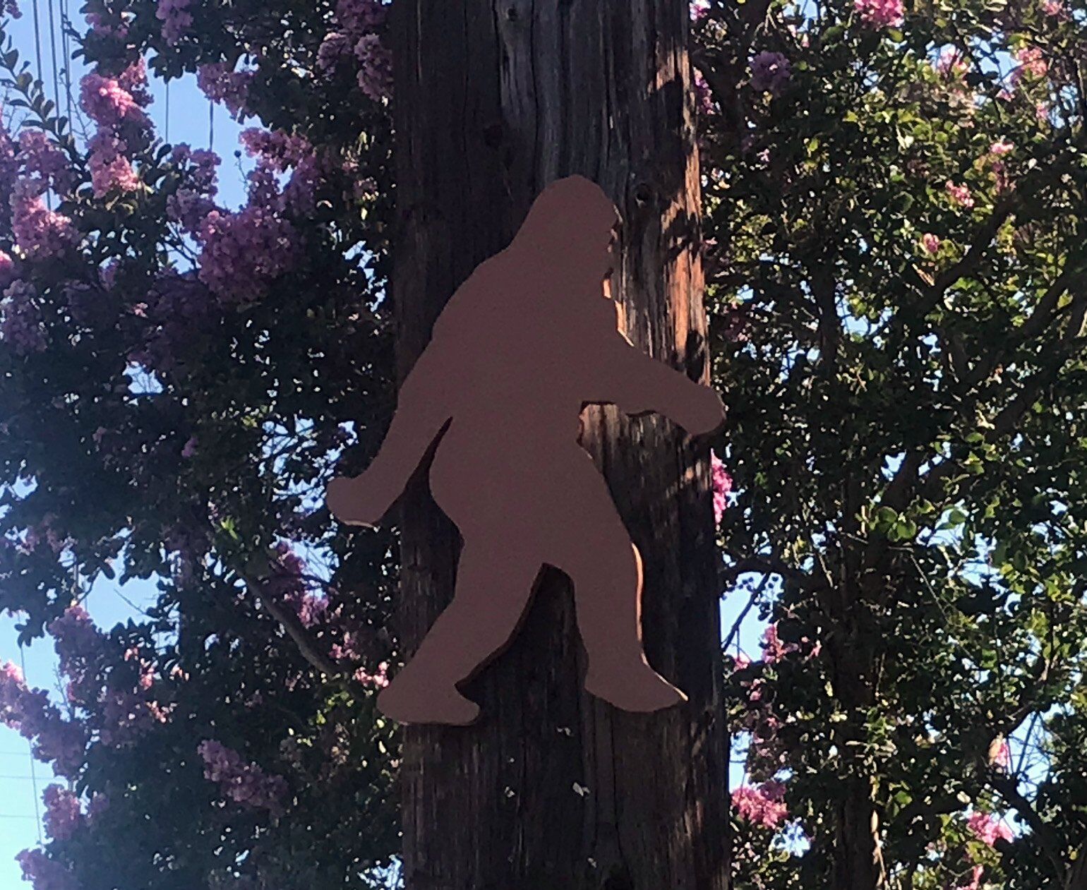 Big Foot on Eagle ROck Blvd